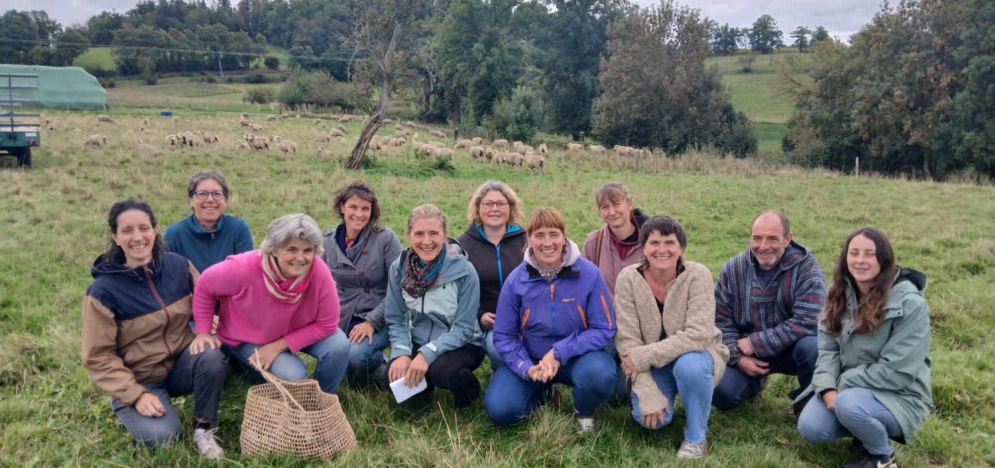 Collectif d’éleveurs et acteurs de la filière laine locale BÊLE dans les Monts du Lyonnais avec troupeau de moutons