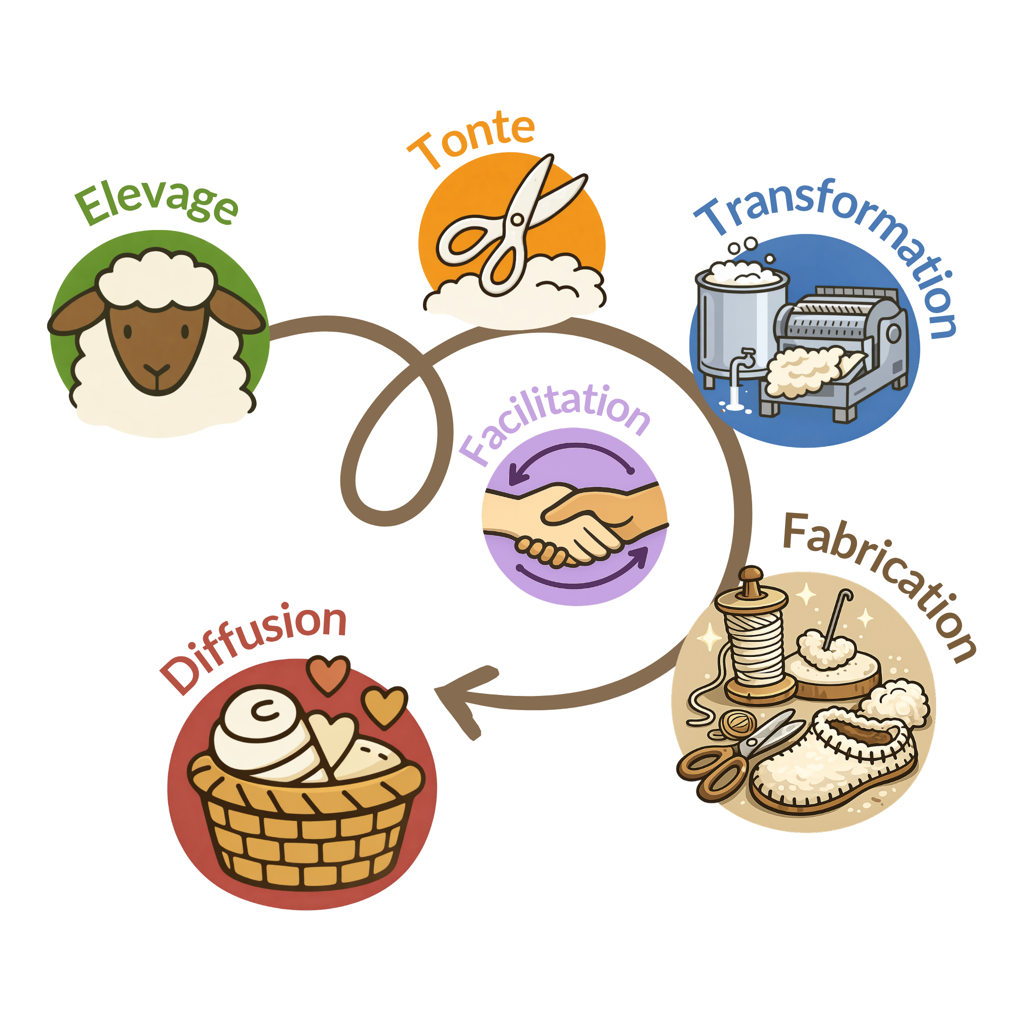 Schéma de la filière laine locale BÊLE : élevage, tonte, transformation, fabrication artisanale et diffusion